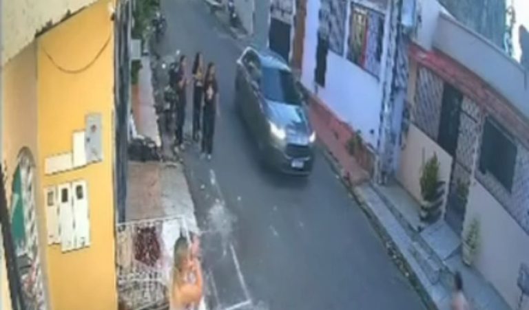 Cachorro é atropelado por carro e motorista foge sem prestar socorro em Manaus