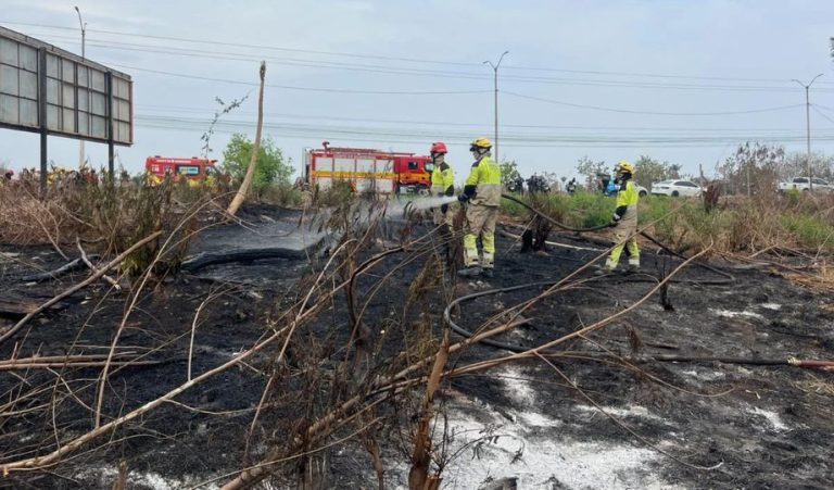 Roberto Cidade pede apoio federal para reforçar combate às queimadas no Amazonas
